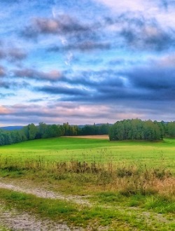 Gröna ängar med skog och molnig blå himmel