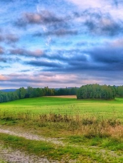 Gröna ängar med skog och molnig blå himmel