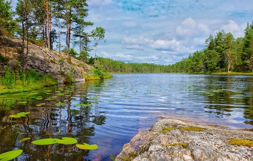 Bild på en sjö